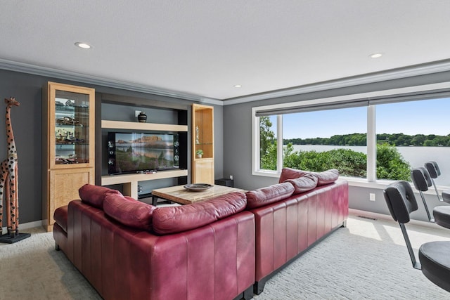 9235 Lake Riley Blvd, Chanhassen, MN 55317 - photo 47