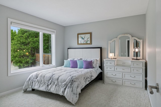 9235 Lake Riley Blvd, Chanhassen, MN 55317 - photo 50