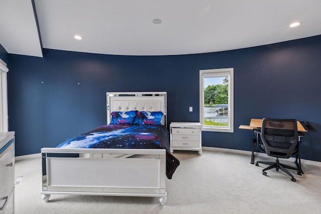 9235 Lake Riley Blvd, Chanhassen, MN 55317 - photo 66