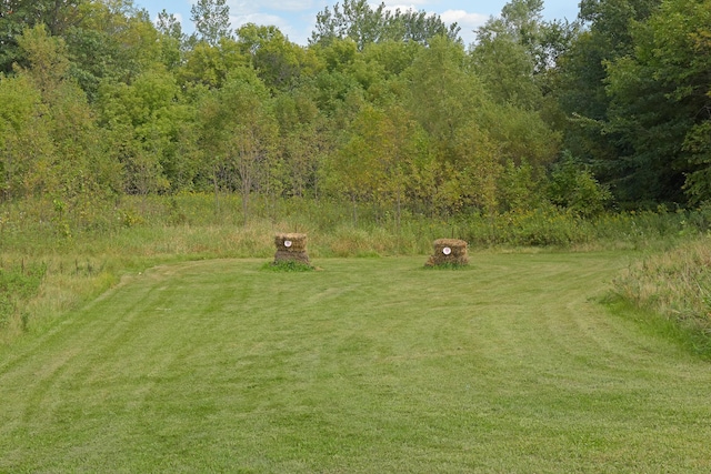 9235 Lake Riley Blvd, Chanhassen, MN 55317 - photo 88