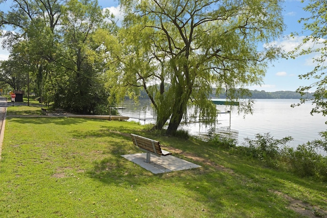 9235 Lake Riley Blvd, Chanhassen, MN 55317 - photo 96