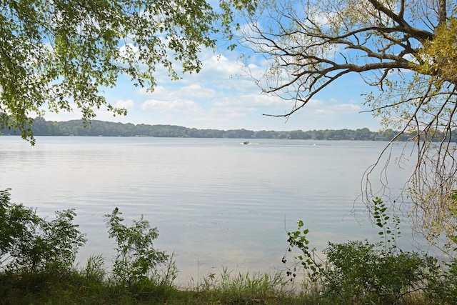 9235 Lake Riley Blvd, Chanhassen, MN 55317 - photo 97