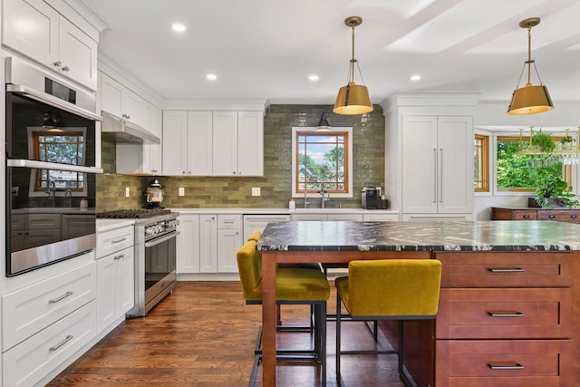 4011 Grimes Ave S, Edina, MN 55416 - kitchen featuring stainless steel appliances, under cabinet range hood, backsplash, recessed lighting, and pendant lighting