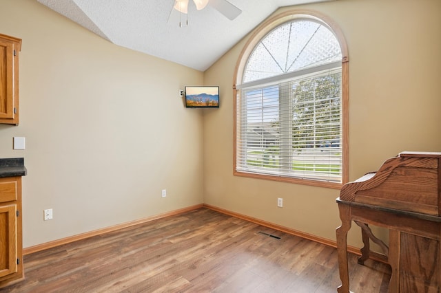 343 Tuttle Dr, Hastings, MN 55033 - dining room with light wood finished floors, ceiling fan, and vaulted ceiling