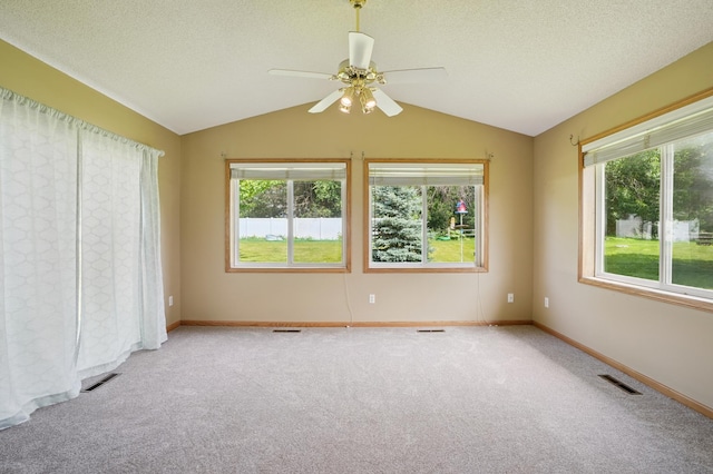 343 Tuttle Dr, Hastings, MN 55033 - carpeted empty room with vaulted ceiling, healthy amount of natural light, a ceiling fan, and a textured ceiling