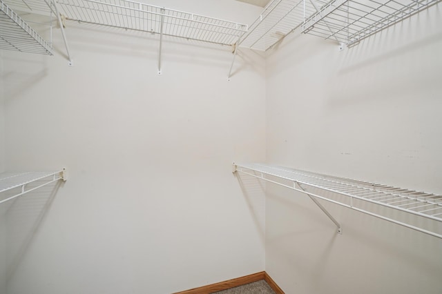 343 Tuttle Dr, Hastings, MN 55033 - view of spacious closet