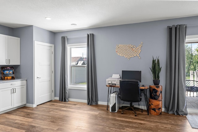 1174 139th St E, Rosemount, MN 55068 - office area with wood finished floors and a textured ceiling