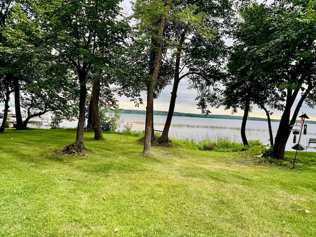 44493 Nitche Lake Rd, Pine Lake Twp, MN 56573 - view of green lawn with a water view