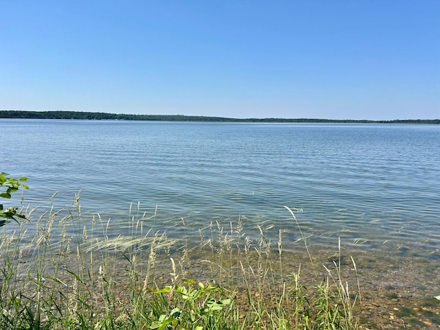 44493 Nitche Lake Rd, Pine Lake Twp, MN 56573 - water view