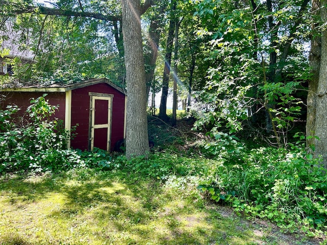 44493 Nitche Lake Rd, Pine Lake Twp, MN 56573 - view of shed