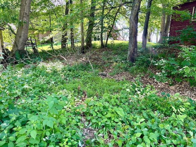 44493 Nitche Lake Rd, Pine Lake Twp, MN 56573 - view of nature