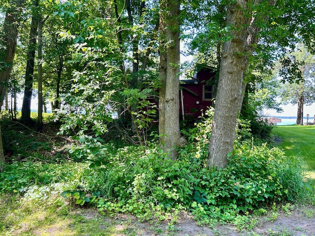 44493 Nitche Lake Rd, Pine Lake Twp, MN 56573 - view of yard