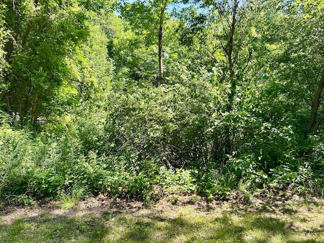 44493 Nitche Lake Rd, Pine Lake Twp, MN 56573 - view of tree filled area