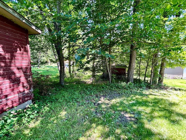 44493 Nitche Lake Rd, Pine Lake Twp, MN 56573 - view of grassy yard