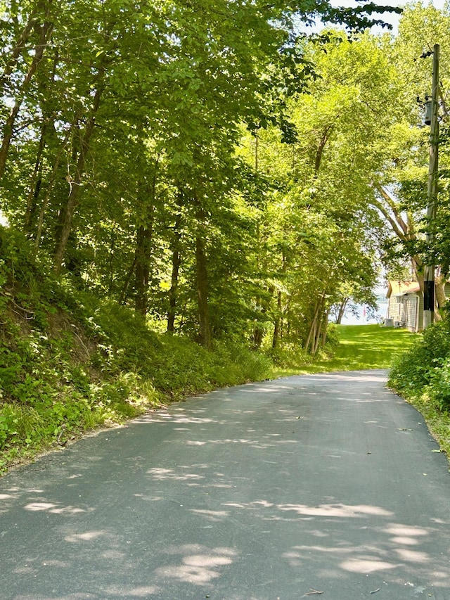 44493 Nitche Lake Rd, Pine Lake Twp, MN 56573 - view of asphalt road