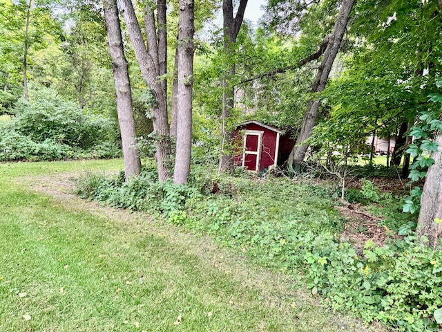 44493 Nitche Lake Rd, Pine Lake Twp, MN 56573 - view of green lawn featuring a storage unit