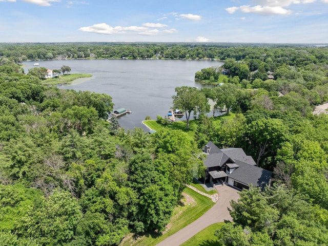1300 Wildhurst Trl, Orono, MN 55364 - drone / aerial view of a large body of water and a heavily wooded area