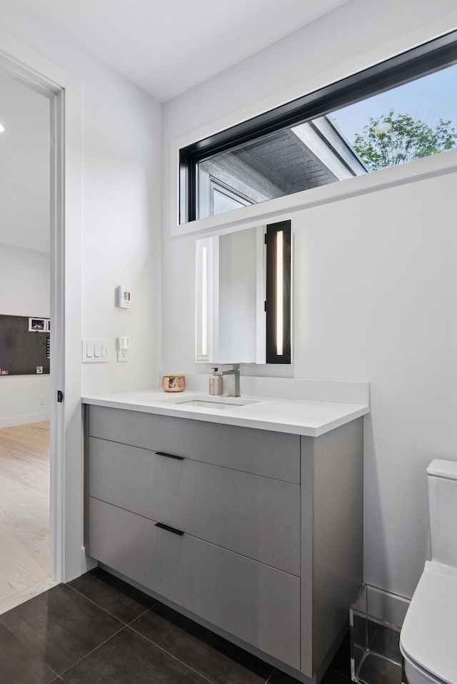 1300 Wildhurst Trl, Orono, MN 55364 - bathroom with vanity and plenty of natural light