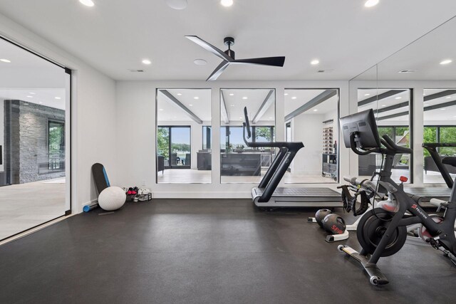 1300 Wildhurst Trl, Orono, MN 55364 - exercise room featuring plenty of natural light, recessed lighting, and ceiling fan