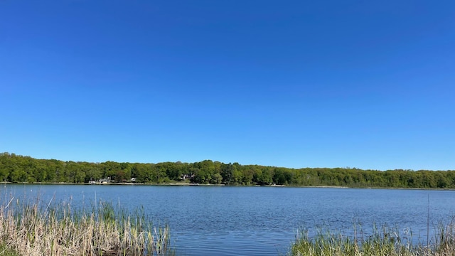 14364 Hummingbird Trl, Bay Lake Twp, MN 56444 - water view featuring a forest