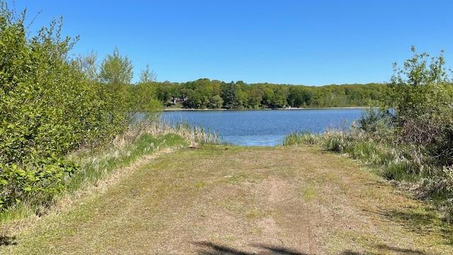 14364 Hummingbird Trl, Bay Lake Twp, MN 56444 - water view featuring a heavily wooded area