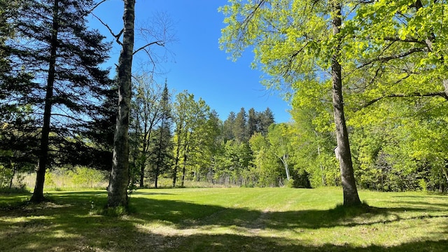14364 Hummingbird Trl, Bay Lake Twp, MN 56444 - view of green lawn with a wooded view