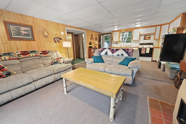 14364 Hummingbird Trl, Bay Lake Twp, MN 56444 - living area featuring wood walls, a drop ceiling, and light carpet