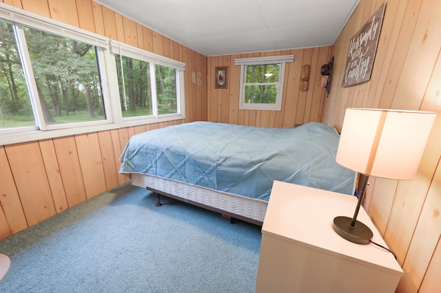 14364 Hummingbird Trl, Bay Lake Twp, MN 56444 - carpeted bedroom featuring wood walls