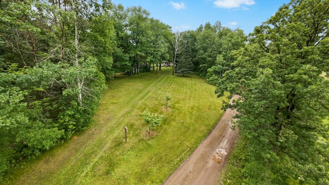 14364 Hummingbird Trl, Bay Lake Twp, MN 56444 - view of green lawn