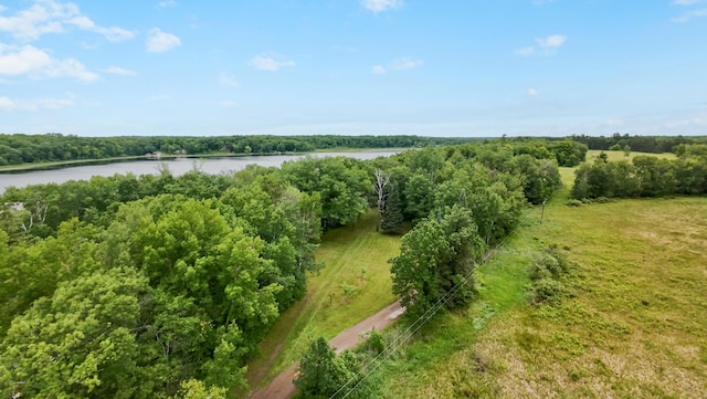 14364 Hummingbird Trl, Bay Lake Twp, MN 56444 - bird's eye view of a large body of water