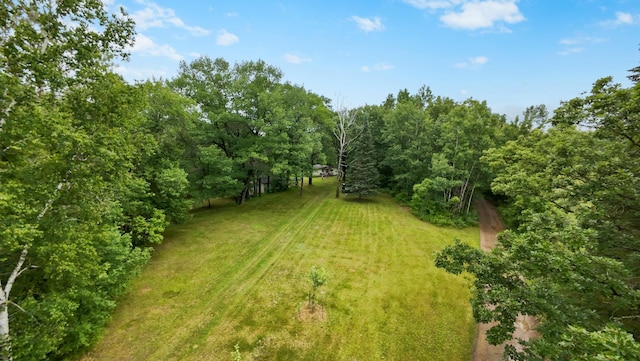 14364 Hummingbird Trl, Bay Lake Twp, MN 56444 - view of green lawn