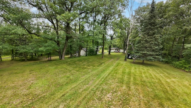 14364 Hummingbird Trl, Bay Lake Twp, MN 56444 - view of green lawn