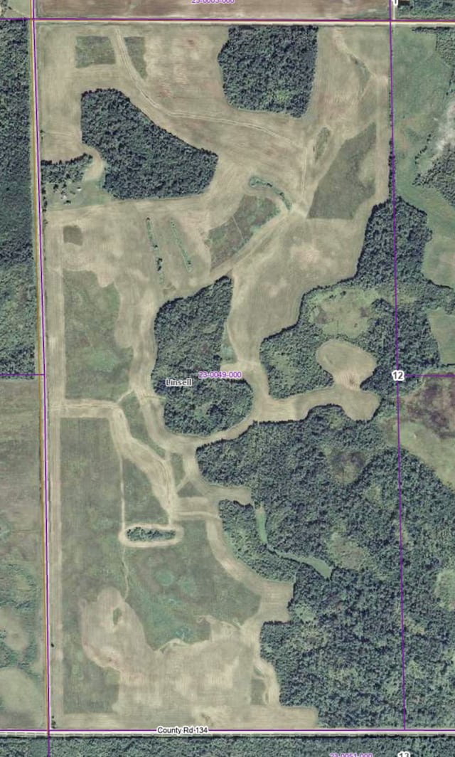 TBD 390th Ave, Linsell Twp, MN 56724 - photo 17