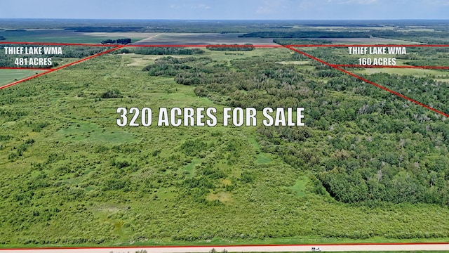 TBD 390th Ave, Linsell Twp, MN 56724 - photo 8