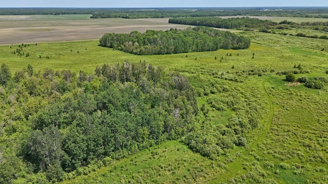 TBD 390th Ave, Linsell Twp, MN 56724 - photo 16