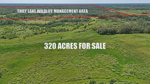TBD 390th Ave, Linsell Twp, MN 56724 - photo 28
