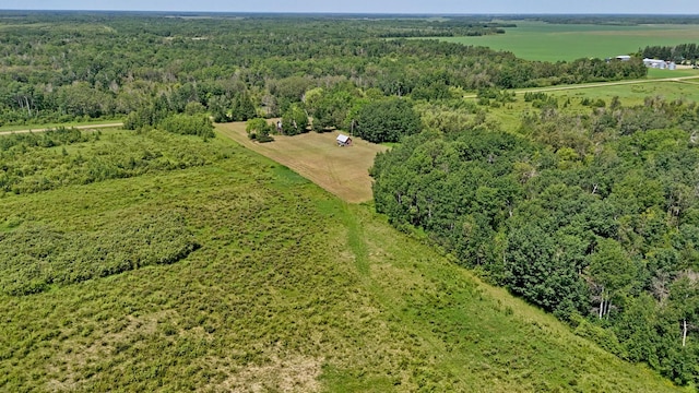 TBD 390th Ave, Linsell Twp, MN 56724 - photo 30