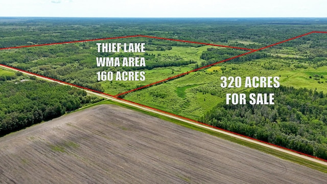 TBD 390th Ave, Linsell Twp, MN 56724 - photo 32