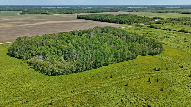 TBD 390th Ave, Linsell Twp, MN 56724 - photo 33