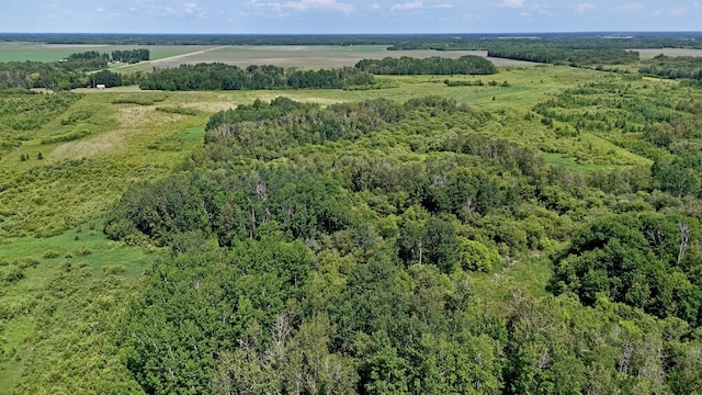 TBD 390th Ave, Linsell Twp, MN 56724 - photo 42