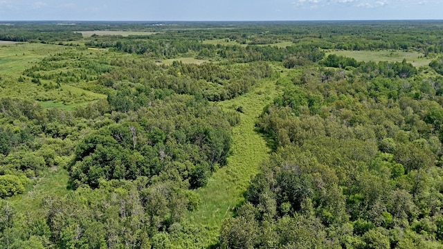 TBD 390th Ave, Linsell Twp, MN 56724 - photo 43