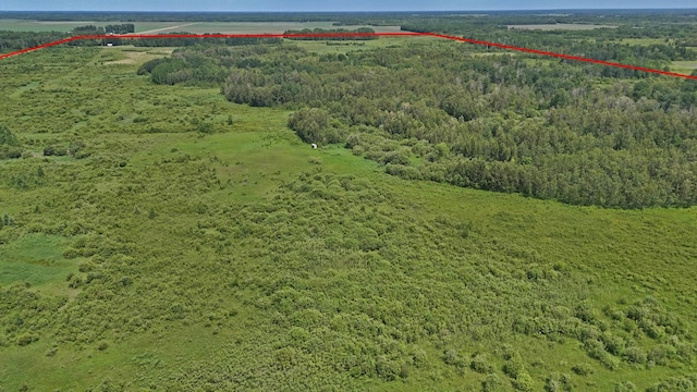TBD 390th Ave, Linsell Twp, MN 56724 - photo 44