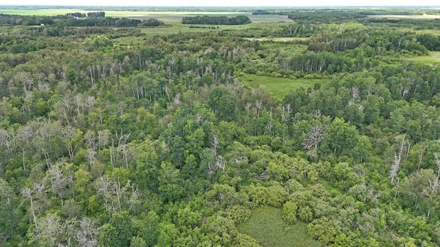 TBD 390th Ave, Linsell Twp, MN 56724 - photo 46