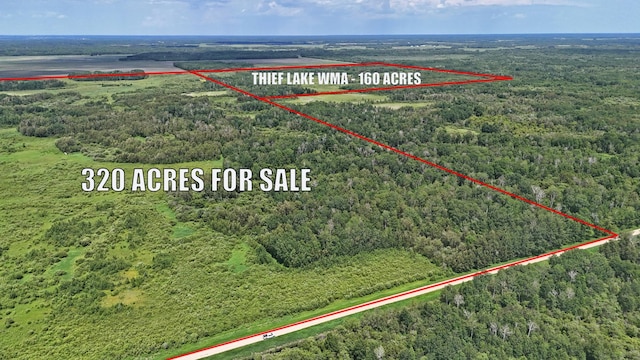 TBD 390th Ave, Linsell Twp, MN 56724 - photo 47
