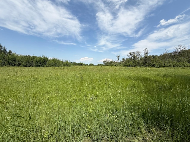TBD 390th Ave, Linsell Twp, MN 56724 - photo 49