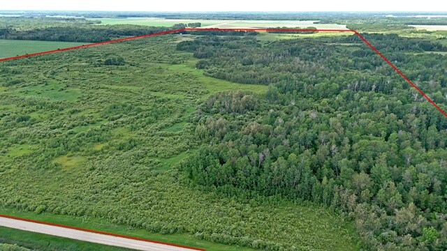 TBD 390th Ave, Linsell Twp, MN 56724 - photo 50