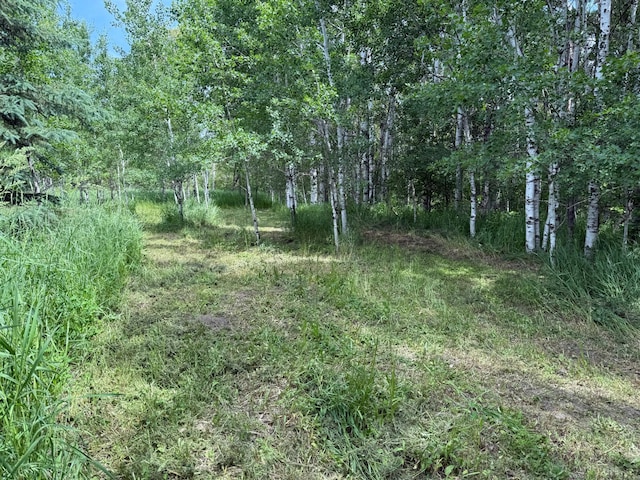 TBD 390th Ave, Linsell Twp, MN 56724 - photo 67