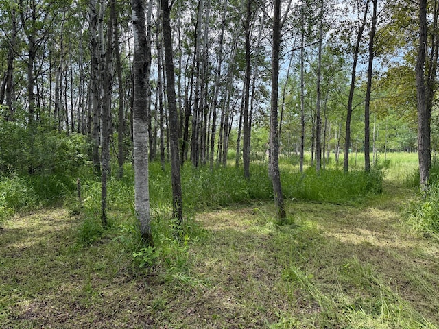 TBD 390th Ave, Linsell Twp, MN 56724 - photo 68
