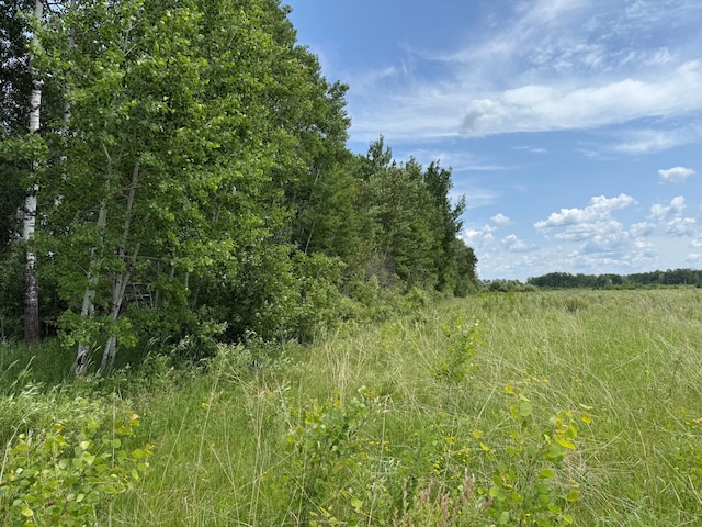 TBD 390th Ave, Linsell Twp, MN 56724 - photo 69