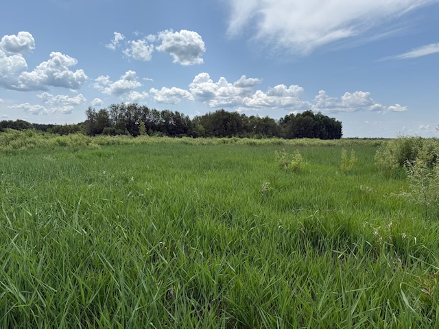 TBD 390th Ave, Linsell Twp, MN 56724 - photo 73